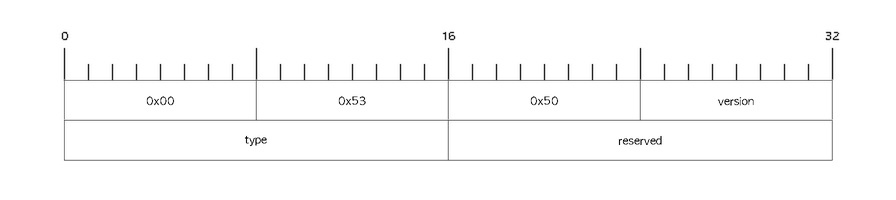 tls1 header